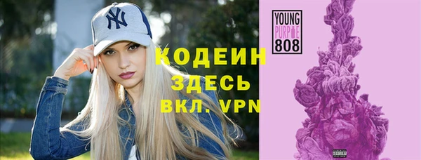 индика Нягань