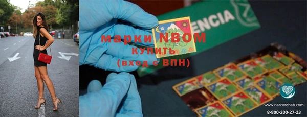 индика Нягань