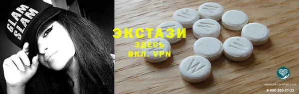 индика Нягань