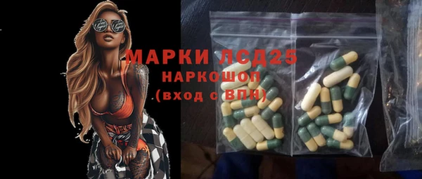 индика Нягань