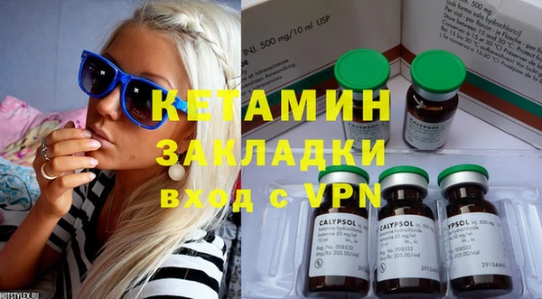 индика Нягань