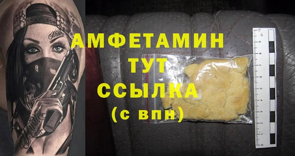 индика Нягань