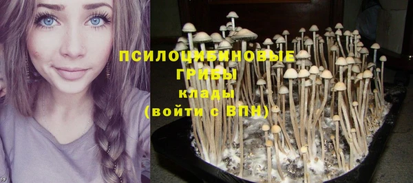 кристаллы Осинники
