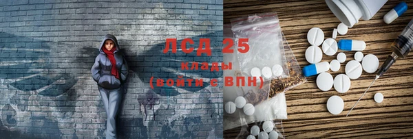 индика Нягань