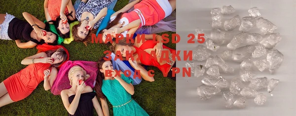 индика Нягань