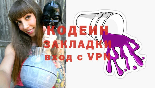 индика Нягань