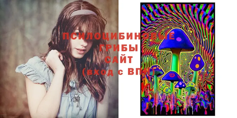 Галлюциногенные грибы Magic Shrooms  Киселёвск 