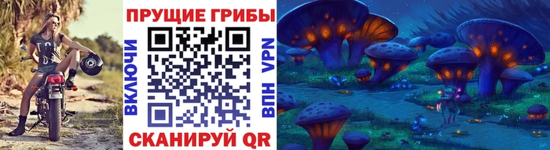 Псилоцибиновые грибы MAGIC MUSHROOMS  Киселёвск 